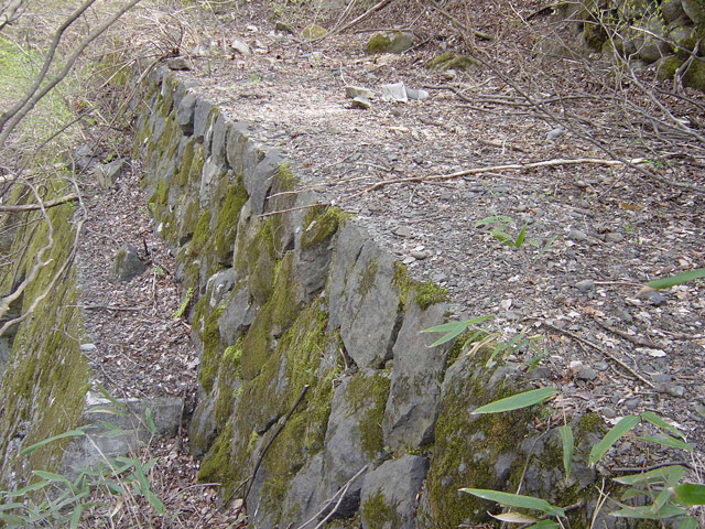 �ؑ]�X�ѓS�������,�ѓS,�p����,�̂��,�H��,�i��