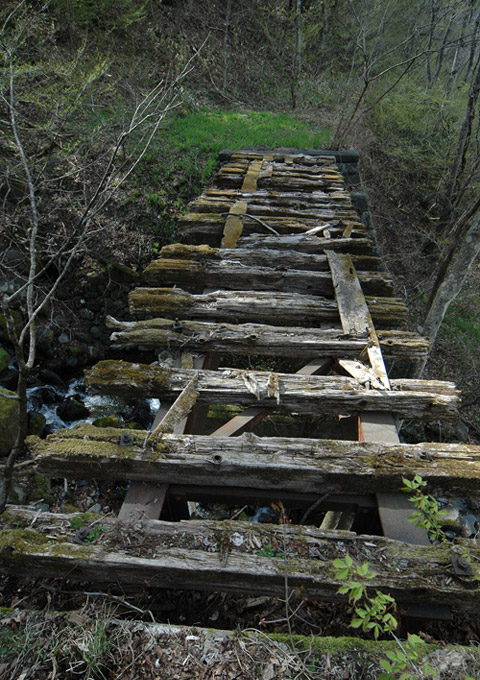 ����X�ѓS��,�ѓS,�p����,�ؑ]�X,��n�򋴗�,�S��,�؋�