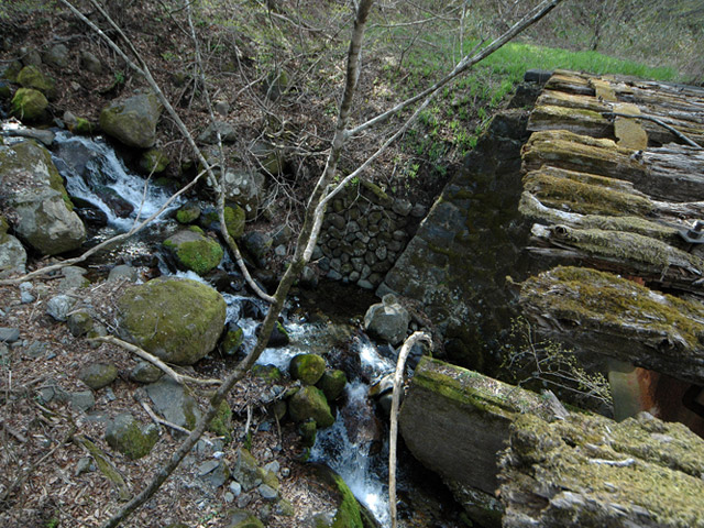 ����X�ѓS��,�ѓS,�p����,�ؑ]�X,��n�򋴗�,�S��,����,����