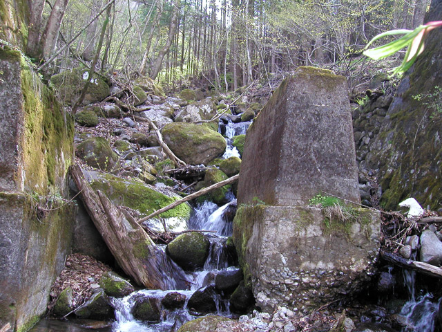 �ؑ]�X�ѓS�������,�ѓS,�p����,��n�򋴗�,�؋��s�A,���r