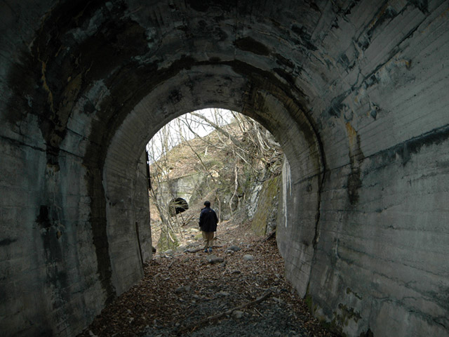 �ؑ]�X�ѓS�������,�ѓS,�p����,��܍�詓�,�g���l��,�H��