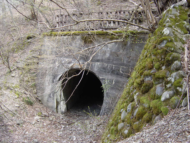 �ؑ]�X�ѓS�������,�ѓS,�p����,��5��詓�,�g���l��,�B��