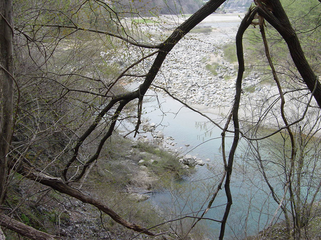 ����X�ѓS��,�ѓS,�p����,���[���P��,�ؑ]�X,�^�މݎ�