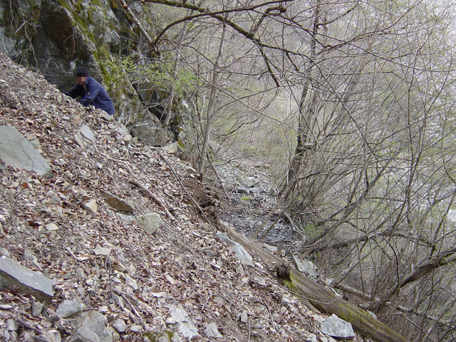 ����X�ѓS��,�ѓS,�p����,���[���P��,�ؑ]�X,�^�މݎ�