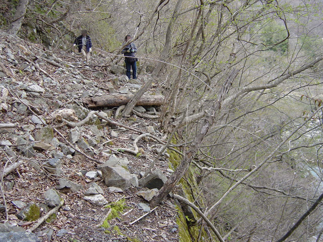 ����X�ѓS��,�ѓS,�p����,���[���P��,�ؑ]�X,�^�މݎ�