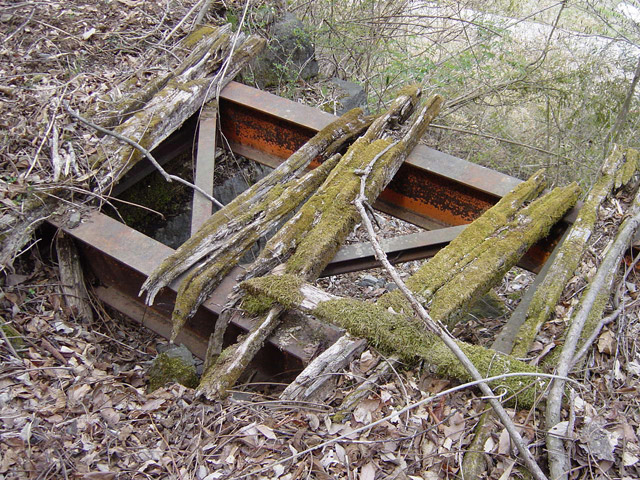 ����X�ѓS��,�ѓS,�p����,�J��,�a��,I�r�[��