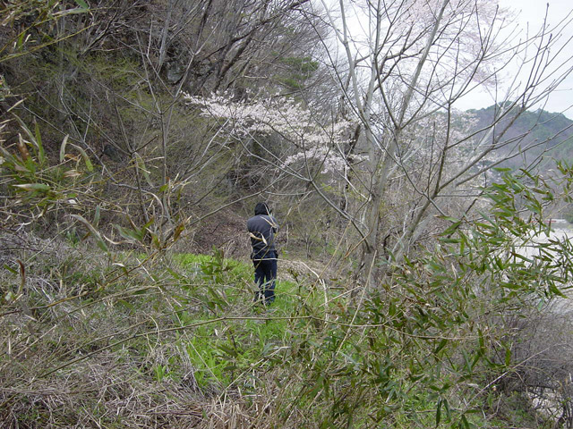 ����X�ѓS��,�ѓS,�p����,���}�U�N��,����,�H��