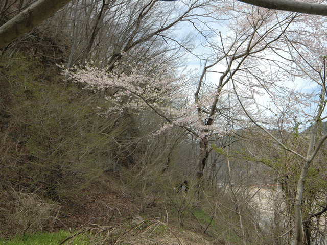 ����X�ѓS��,�ѓS,�p����,�ؑ]�X,���}�U�N��,���O�x��