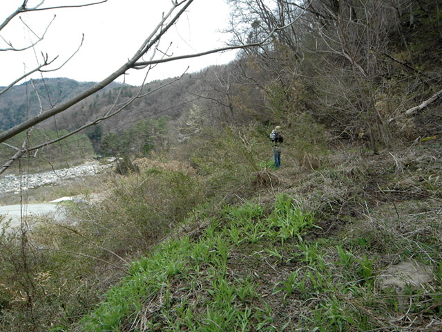 ����X�ѓS��,�ѓS,�p����,�ؑ]�X,�H��,���O�x��