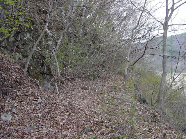 ����X�ѓS��,�ѓS,�p����,�ؑ]�X,����,���O�x��