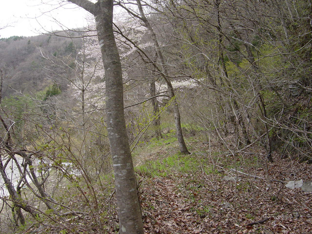 ����X�ѓS��,�ѓS,�p����,�ؑ],�R��,����