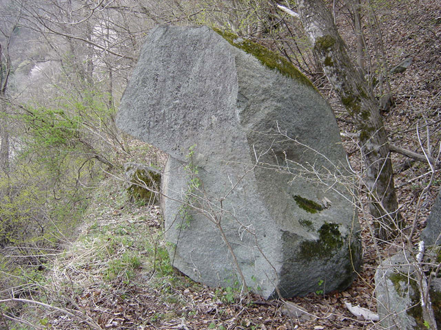 ����X�ѓS��,�ѓS,�p����,�ؑ]��,���Β���,��͋����`