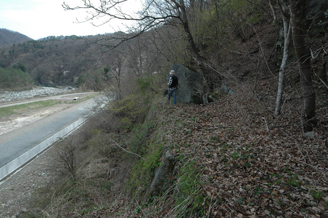 ����X�ѓS��,�ѓS,�p����,�ؑ]�X�ѓS�������,�O����,����ѓ�