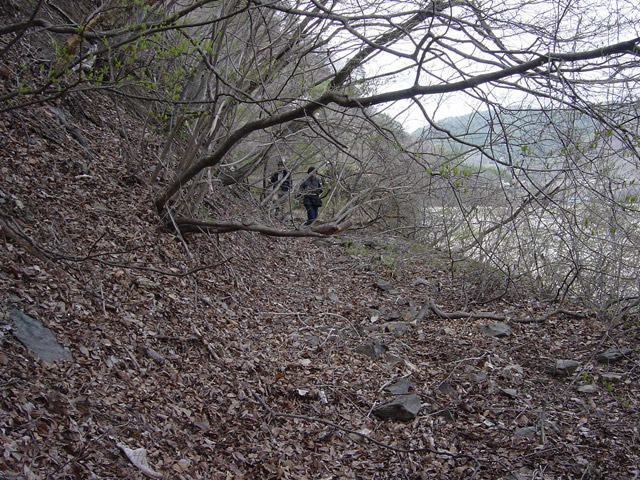 ����X�ѓS��,�ѓS,�p����,����,�O����,�㏼�^�A�c�я�