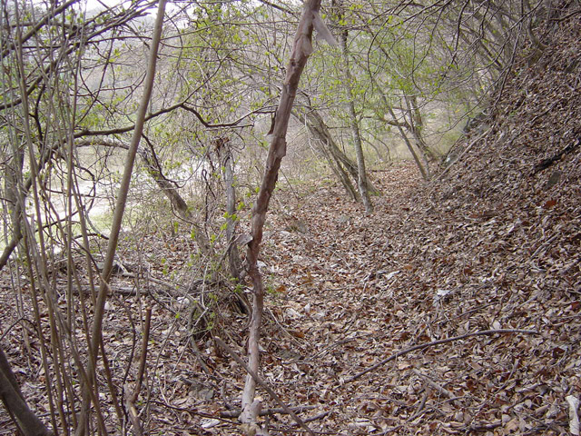 ����X�ѓS��,�ѓS,�p����,����,�؍މ^���O��,�㏼�^�A�c�я�