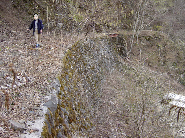 ����X�ѓS��,�ѓS,�p����,�@��,�؍މ^���O��,�Ί_