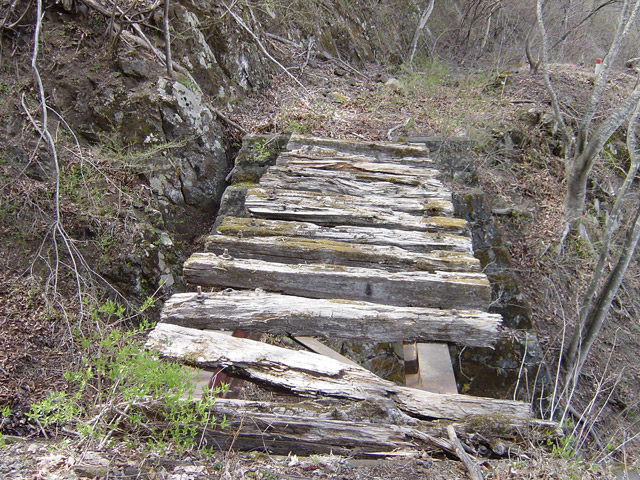 ����X�ѓS��,�ѓS,�p����,����,�؍މ^���O��,�T���I�Z�򋴗�