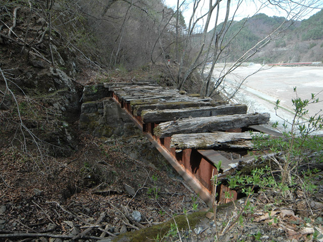 ����X�ѓS��,�ѓS,�p����,�S��,�K�[�_�[��,�T���I�Z�򋴗�,�ؑ�����