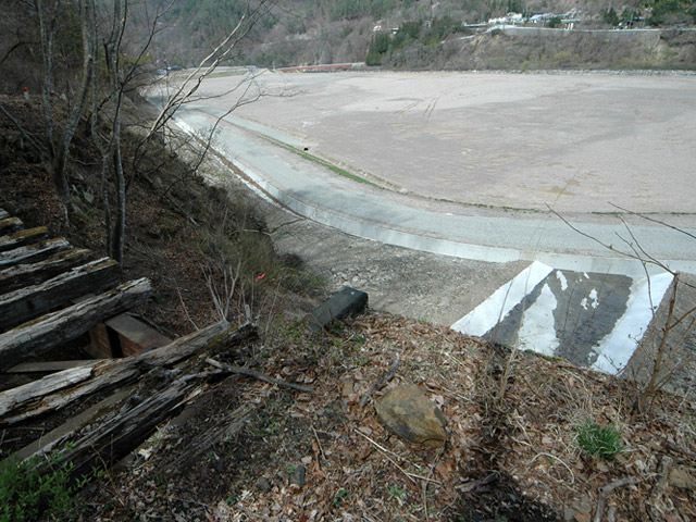 ����X�ѓS��,�ѓS,�p����,�����y�̏�,������,�T���I�Z�򋴗�,�����