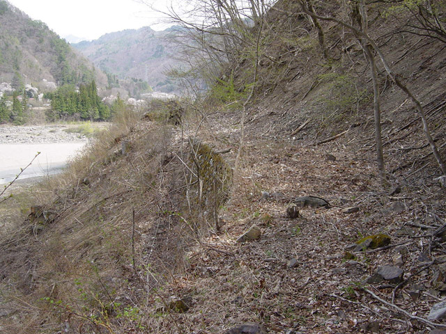 ����X�ѓS��,�ѓS,�p����,�����y�̏�,�H��,�T���I�Z�򋴗�,�����x��