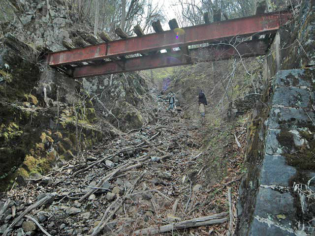 ����X�ѓS��,�ѓS,�p����,�T���I�Z�򋴗�,�����x��,�p��