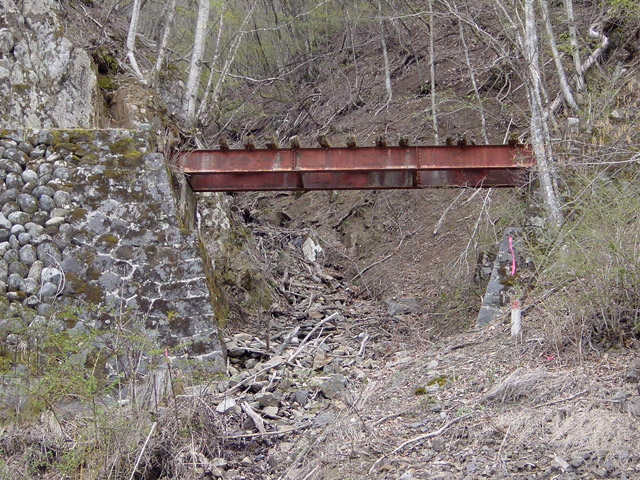 ����X�ѓS��,�ѓS,�p����,�T���I�Z�򋴗�,�����x��,�p��,�H����