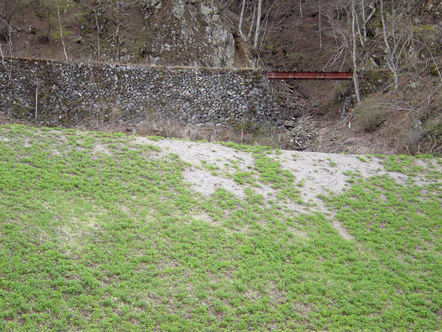 ����X�ѓS��,�ѓS,�p����,�T���I�Z�򋴗�,�؍މ^���O��,�S��,�K�[�_�[��