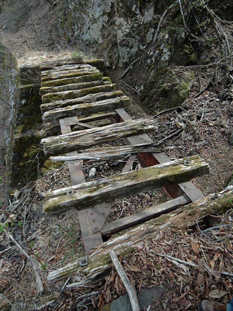 ����X�ѓS��,�ѓS,�p����,�T���I�Z�򋴗�,�؍މ^���O����,�S��,����