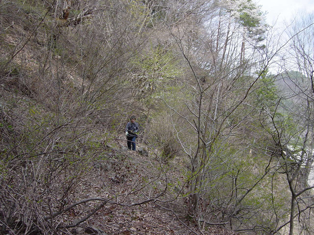 ����X�ѓS��,�ѓS,�p����,�؍މ^���O����,����,�ѓ�,�ؑ]��