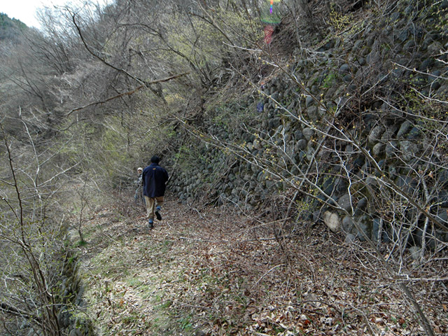 ����X�ѓS��,�ѓS,�p����,�ؑ]��,����ѓ�,�㏼�^�A�c�я�,1����