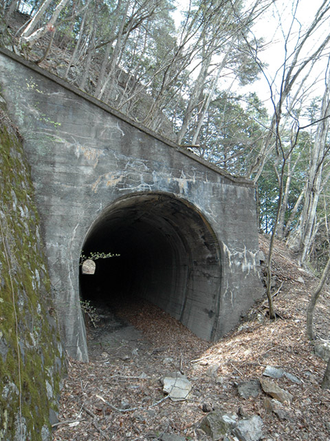 ����X�ѓS��,�ѓS,�p����,�؍މ^���O����,詓�,�g���l��,����ѓ�