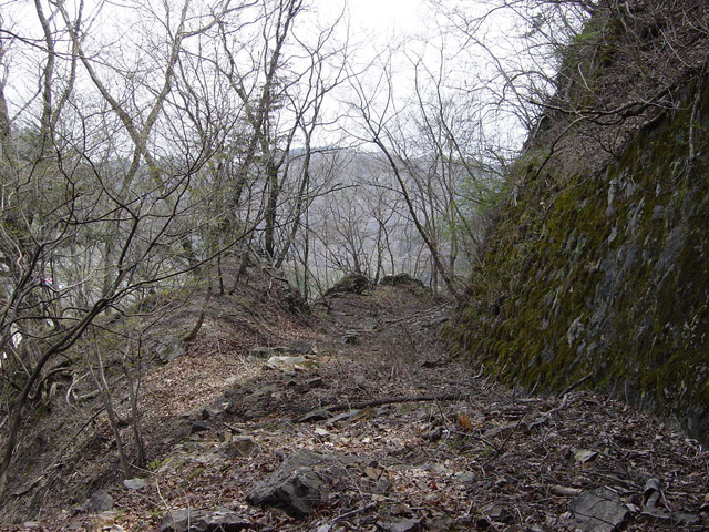 ����X�ѓS��,�ѓS,�p����,�؍މ^���O����,詓�,�g���l��,����ѓ�