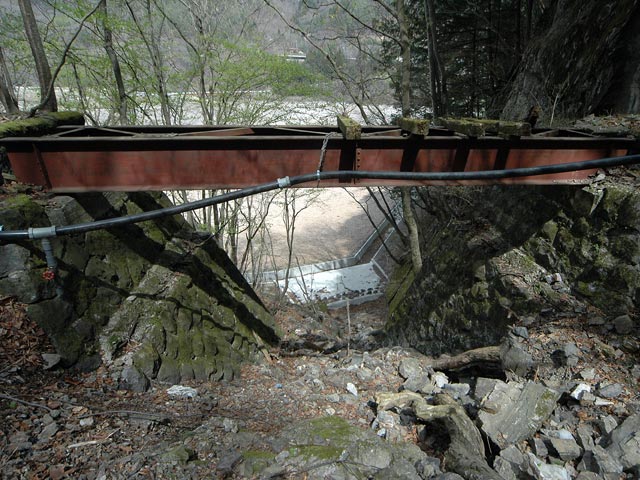 ����X�ѓS��,�ѓS,�p����,���O�x��,���򋴗�,�����y�̏�,�K�[�_�[��