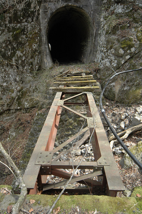 ����X�ѓS��,�ѓS,�p����,�ؑ]�ѓ��S�������,���򋴗�,�K�[�_�[��,�O�x��