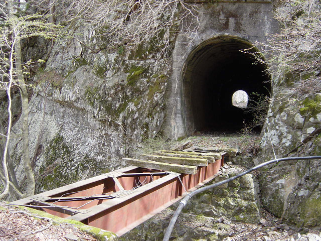 ����X�ѓS��,�ѓS,�p����,�ؑ]�ѓ��S�������,���򋴗�,詓��Ƌ����̃R���{,�㏼�^�A�c�я�