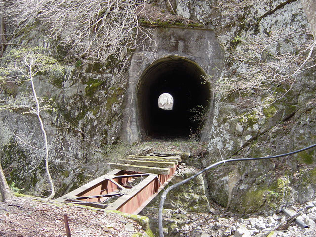 ����X�ѓS��,�ѓS,�p����,���򋴗�,詓��Ƌ����̃R���{,�ؑ]��