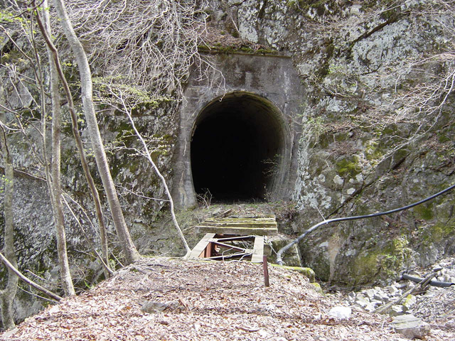 ����X�ѓS��,�ѓS,�p����,���򋴗�,詓��Ƌ����̃R���{,�ؑ]��,�g���l��