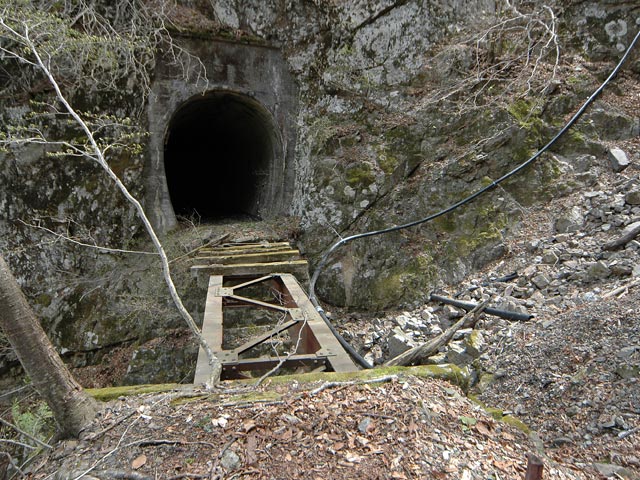 ����X�ѓS��,�ѓS,�p����,���򋴗�,�㏼�^�A�c�я�,�ؑ]��,�g���l��