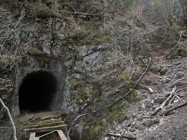 ����X�ѓS��,�ѓS,�p����,���򋴗�,�����p�C�v,�ؑ]��,�g���l��