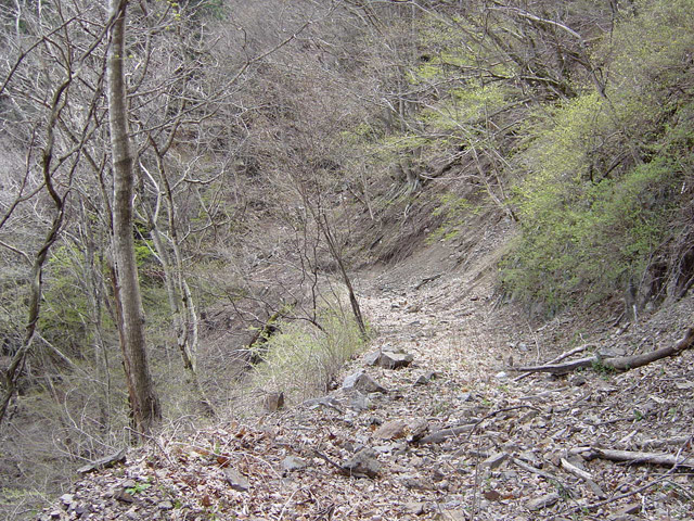 ����X�ѓS��,�ѓS,�p����,�؍މ^���O����,����ѓ��S��1����,���O�x��