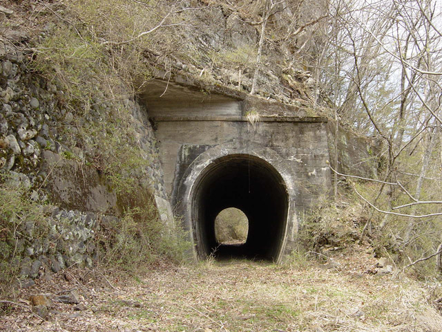 ����X�ѓS��,�ѓS,�p����,�؍މ^���O����,詓�,�g���l��