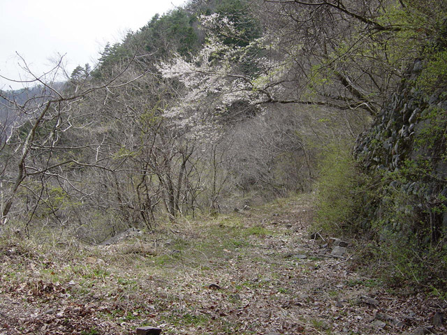 ����X�ѓS��,�ѓS,�p����,�㏼�^�A�c�я�,�����詓�,�p�g���l��,�ؑ]��