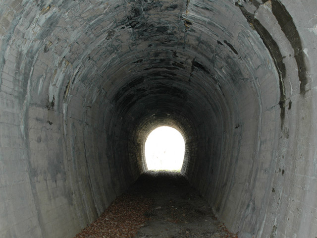 ����X�ѓS��,�ѓS,�p����,�㏼�^�A�c�я�,�����詓�,�p�g���l��,�ؑ]���O�x