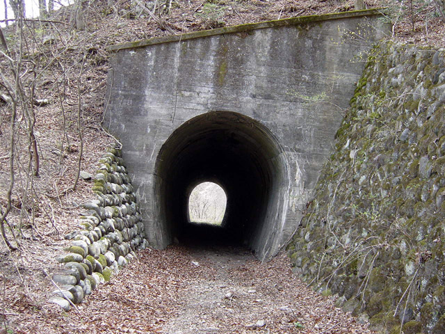 ����X�ѓS��,�ѓS,�p����,����ѓ��S��1����,�p詓�,����񍆃g���l��,�ؑ]���O�x