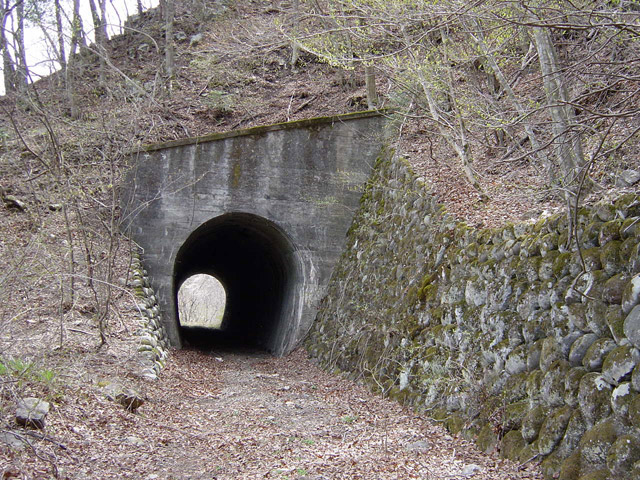 ����X�ѓS��,�ѓS,�p����,�؍މ^���O��,詓�,�g���l��,����ѓ�