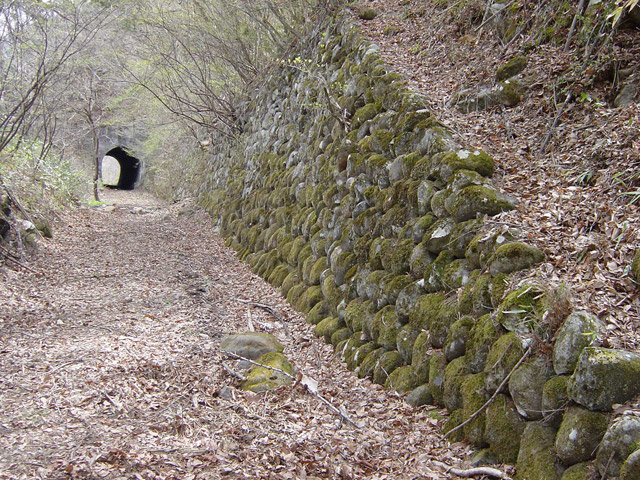 ����X�ѓS��,�ѓS,�p����,�؍މ^���O��,詓�,�g���l��,�Ί_