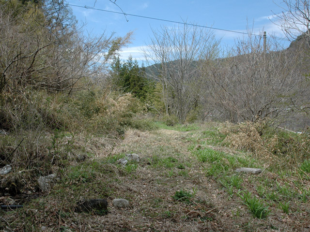 ����X�ѓS��,�ѓS,�p����,�؍މ^���O����,�����◯��,�ؑ]���O�x,�����W��