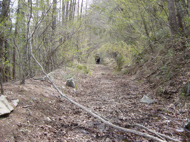 ����X�ѓS��,�ѓS,�p����,�؍މ^���O����,�����◯��,�㏼�^�A�c�я�,����ѓ�