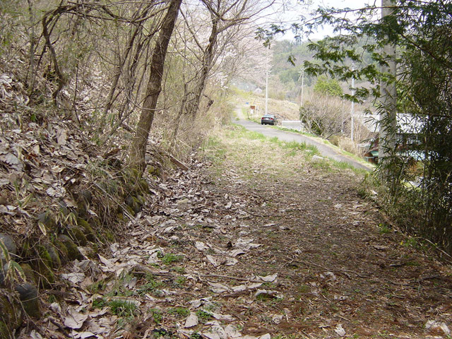 ����X�ѓS��,�ѓS,�p����,���O�x��,�ؑ]��,�y�؋O��,����