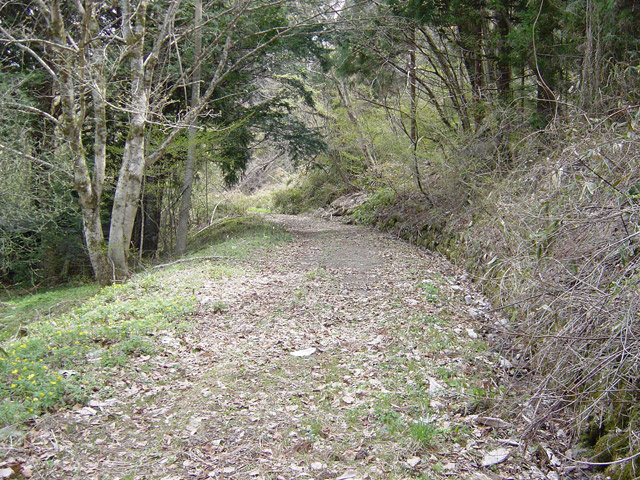 ����X�ѓS��,�ѓS,�p����,1����,�㏼�^�A�c�я�,�y�؋O��,�ѓ�